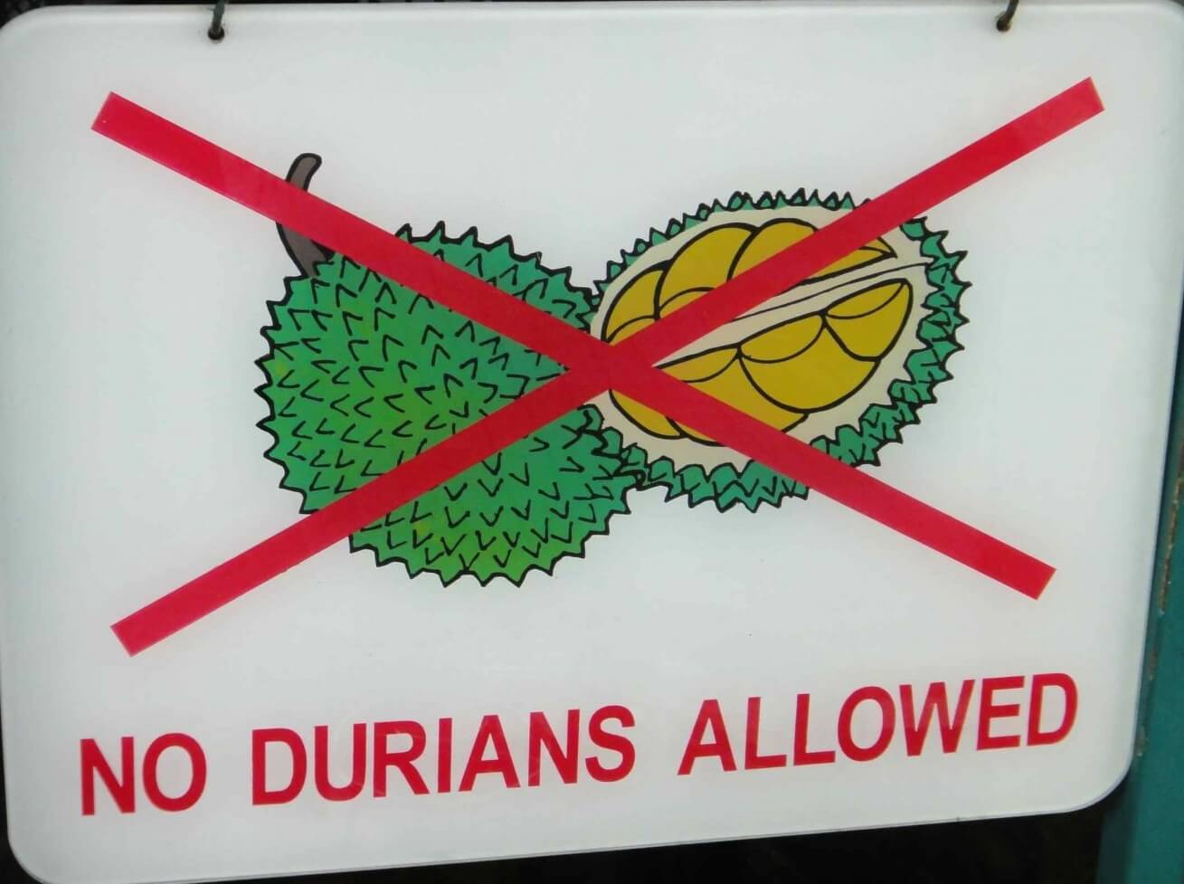1402826185 durian5